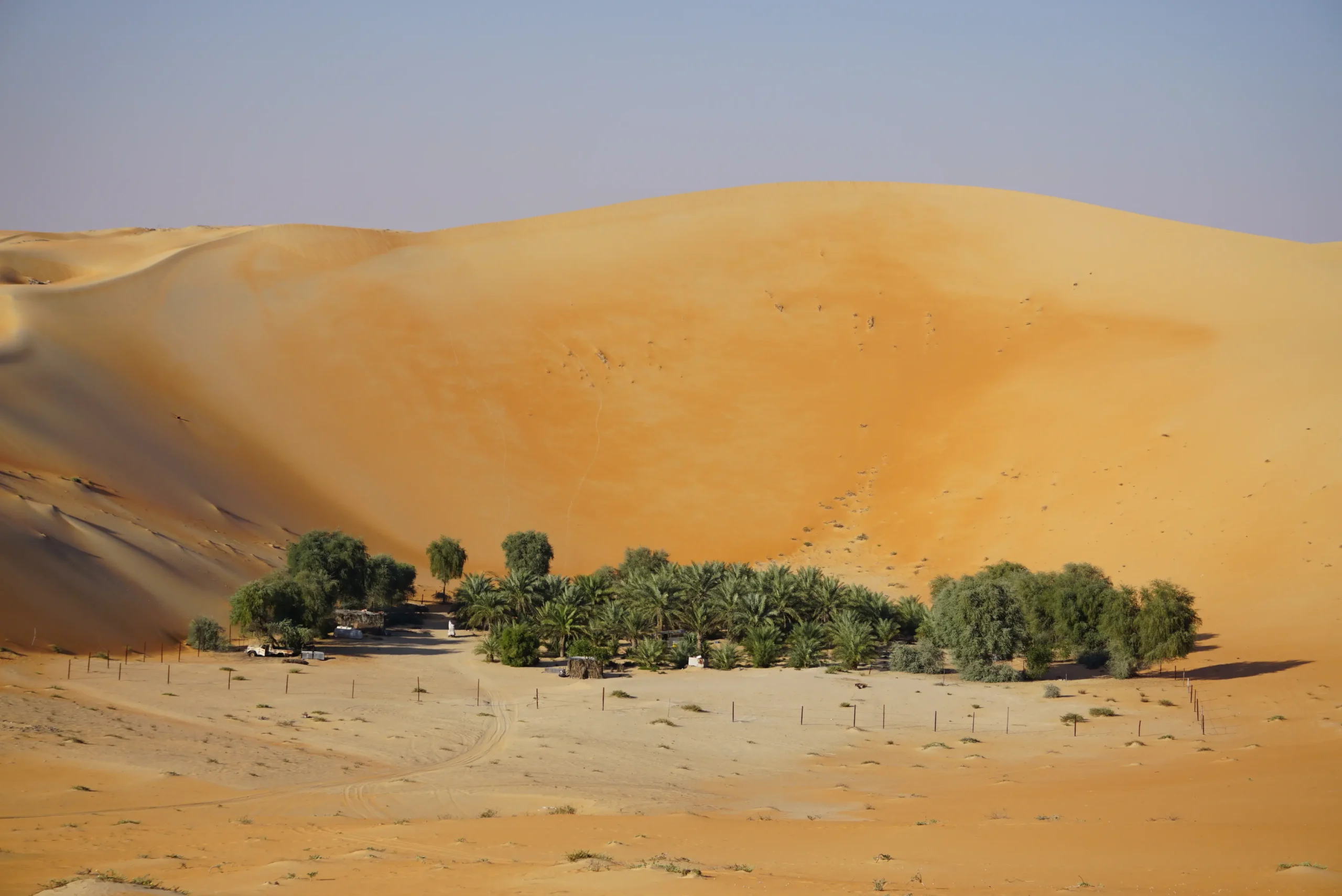 liwa oasis